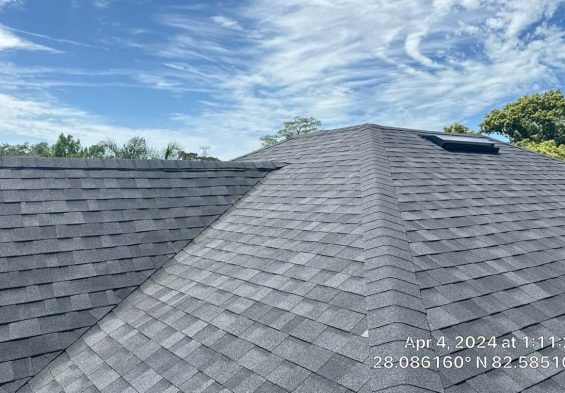 11-Apr 04, 2024 17-11-25-tqPP