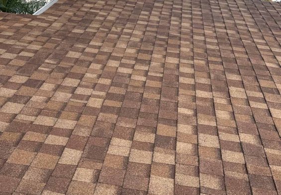 Mass Image Compressor, Quality:89