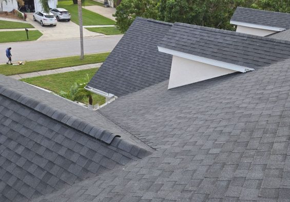 14-Nov 05, 2024 20-38-56-VEDM