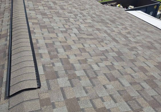 6-Aug 19, 2024 20-15-37-R3Ff