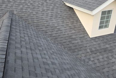 6-Nov 05, 2024 20-39-44-XpEE