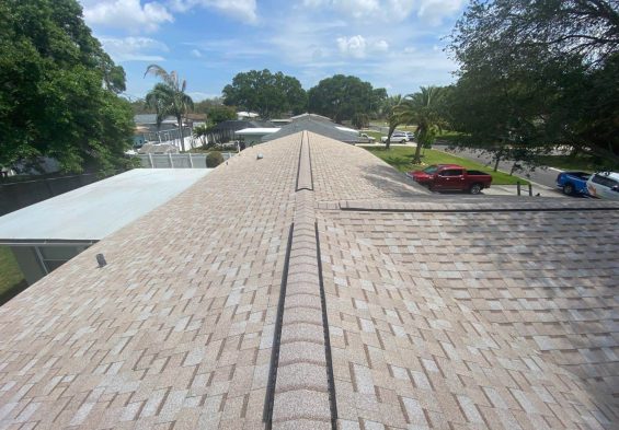 71-Apr 02, 2024 17-53-28-85t1