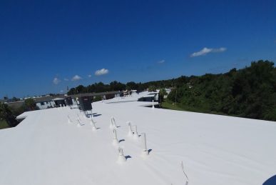 down-net_http20251017-192-myw1i9