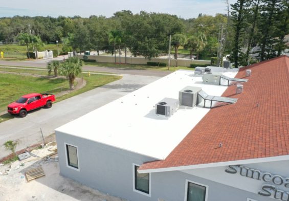 TPO in New Port Richey
